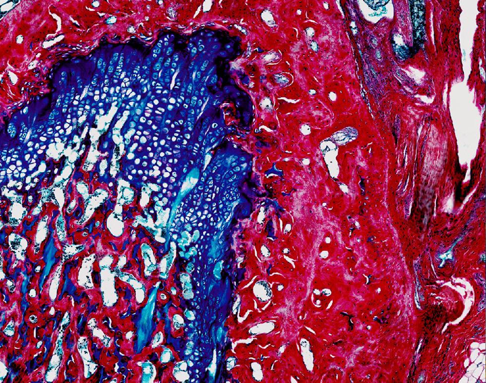 Red River - Stephanie Harding